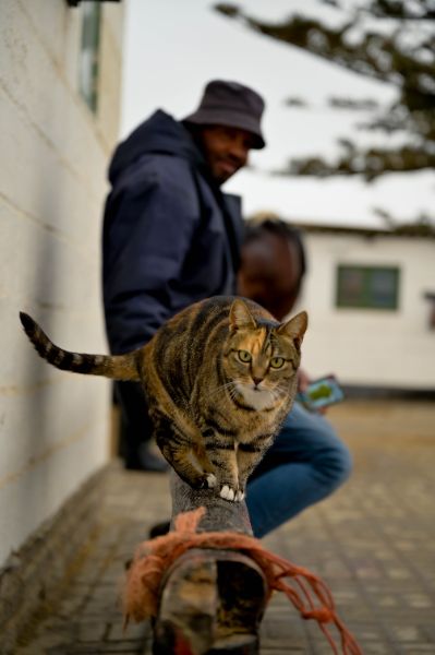 Highlights (5 of 231)_resized.jpg